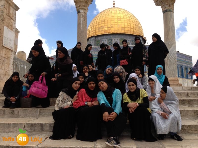 sane3atlud411 (2).jpg